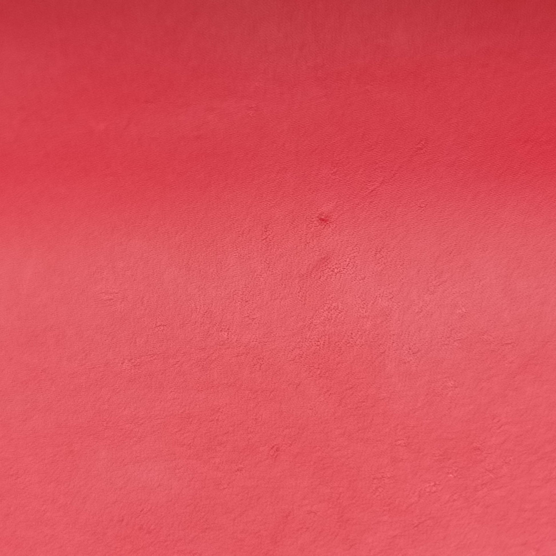 Sylvie Red Leather 421882 E020457900シルヴィ レッド レザー 421882 E020457900
