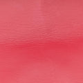 GG Marmont Red Leather 443497 C027984006GGマーモント レッド レザー 443497 C027984006