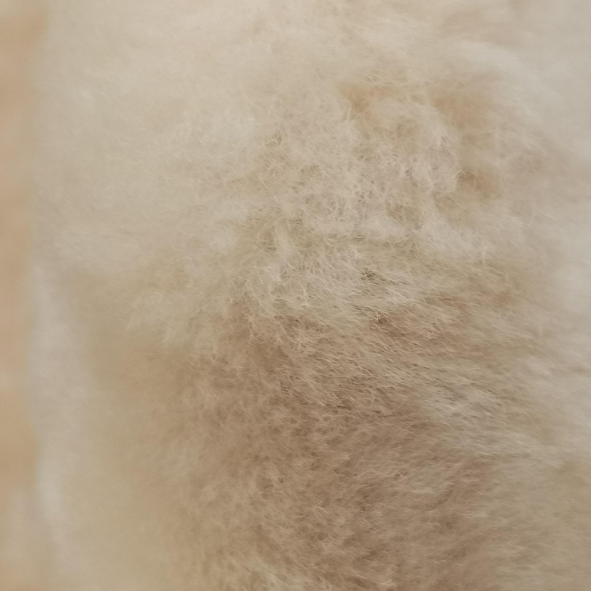 PAPIER A6 Beige Mouton 410288.2780.Y.002123ペーパーA6 ベージュ ムートン 410288.2780.Y.002123