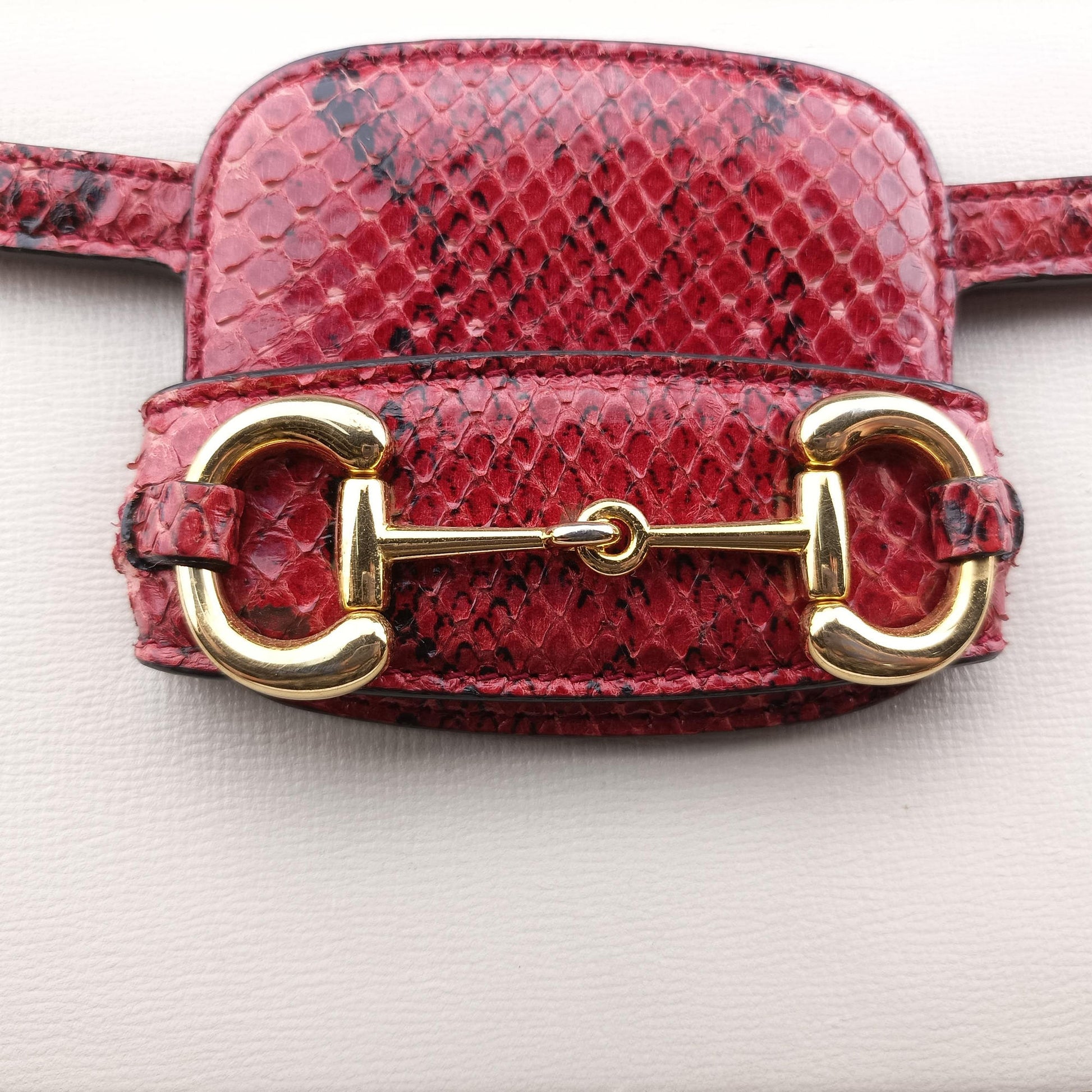 Horsebit 1955 White Leather ásnakeskin 602204 E035232523ホースビット 1955 ホワイト×レッド レザー×ヘビ革 602204 E035232523