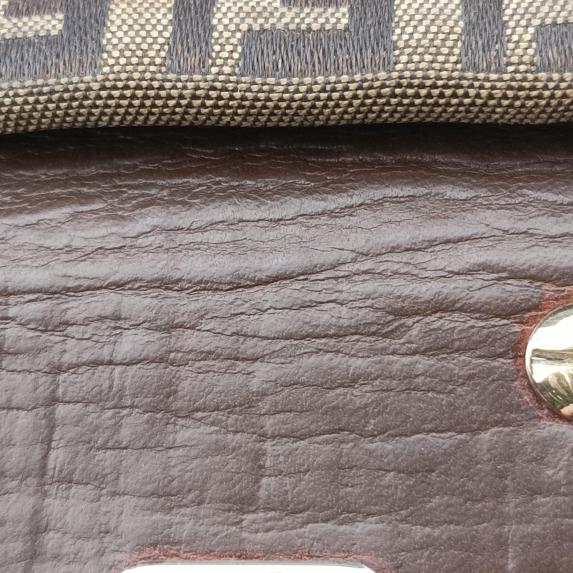 Zucchino Brown canvas×leather 8BN188 2228.8BN188.TN3.089ズッキーニ ブラウン キャンバス×レザー 8BN188 2228.8BN188.TN3.089
