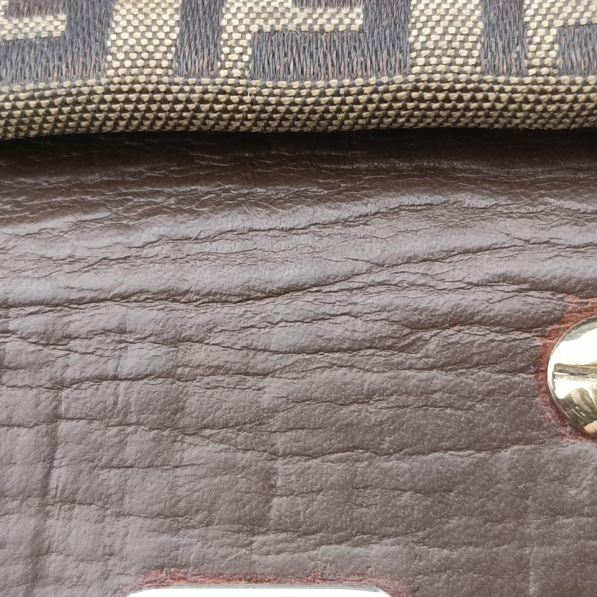 Zucchino Brown canvas×leather 8BN188 2228.8BN188.TN3.089ズッキーニ ブラウン キャンバス×レザー 8BN188 2228.8BN188.TN3.089