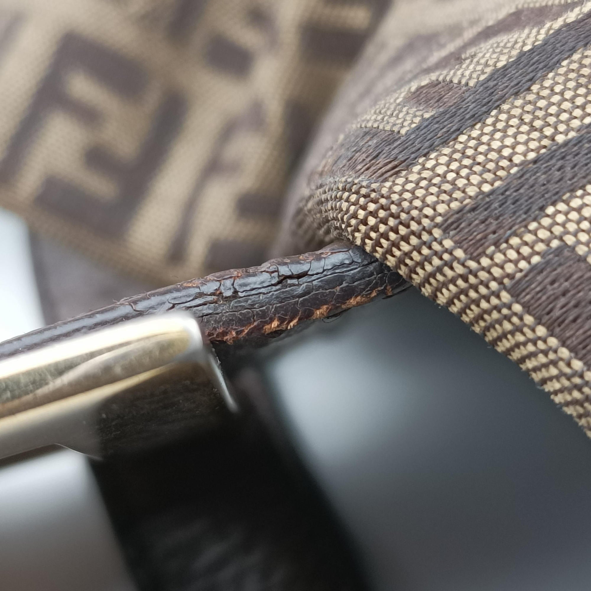 Zucchino Brown canvas×leather 8BN188 2228.8BN188.TN3.089ズッキーニ ブラウン キャンバス×レザー 8BN188 2228.8BN188.TN3.089