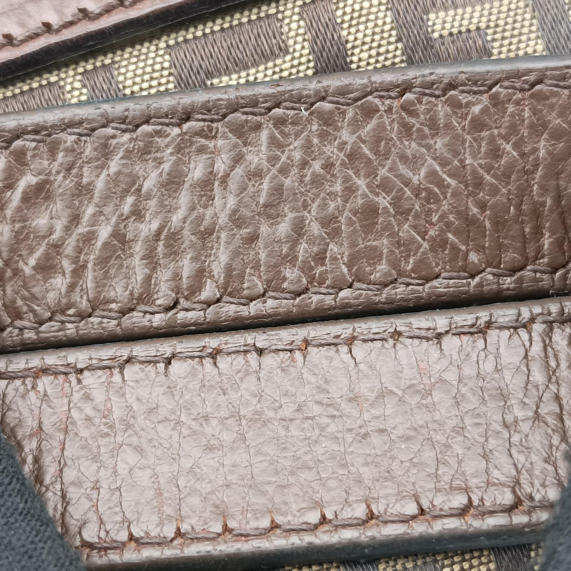Zucchino Brown canvas×leather 8BN188 2228.8BN188.TN3.089ズッキーニ ブラウン キャンバス×レザー 8BN188 2228.8BN188.TN3.089