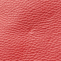 Vitello Daino Top Handle Red Leather BN2420 25ヴィッテロ ダイノ トップハンドル レッド レザー BN2420 25