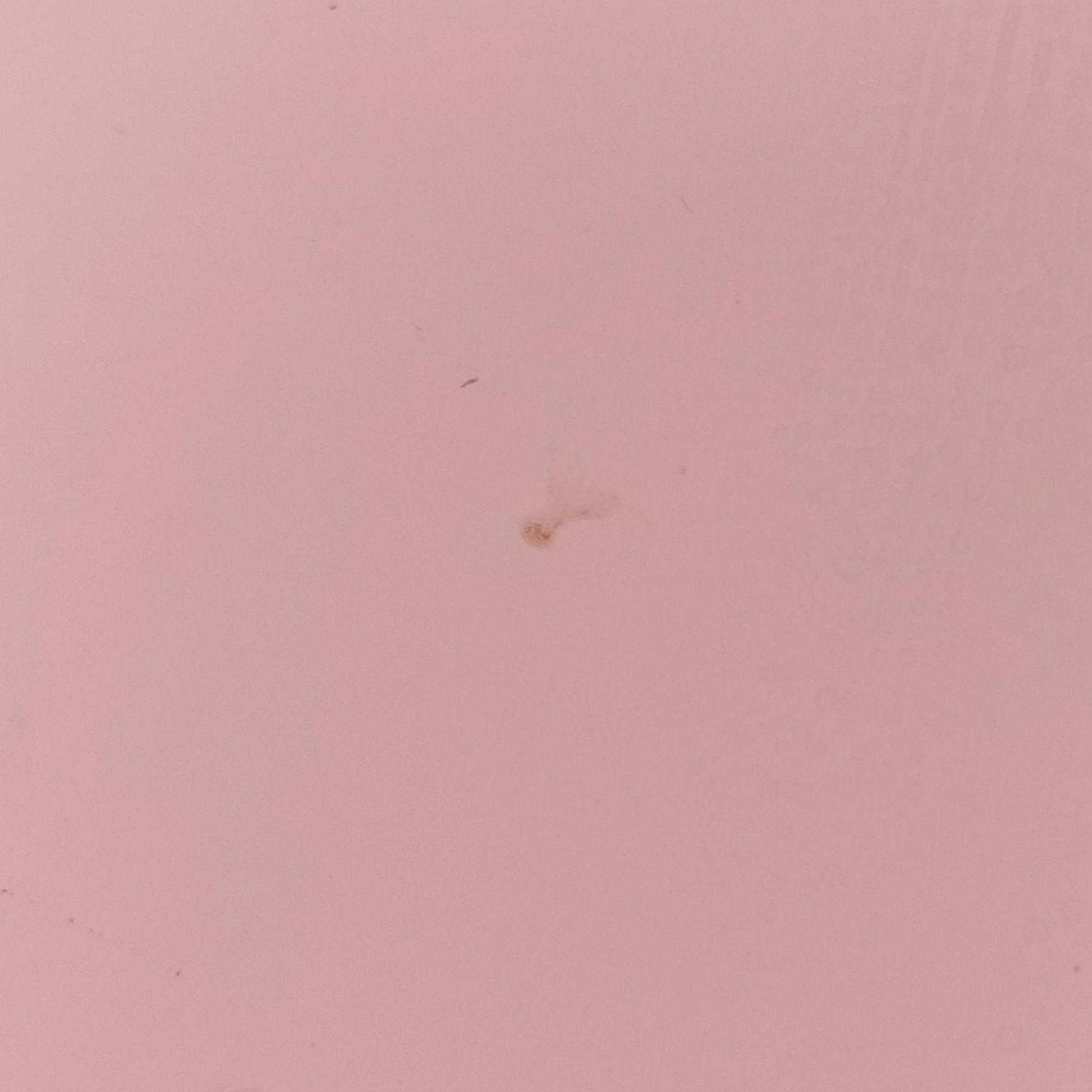 Bamboo Pink Leather 331830 E016923402バンブー ピンク レザー 331830 E016923402