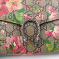 Dionysus Multicolour PVC coated canvas 401231 ディオニュソス マルチカラー PVCコーティングキャンバス 401231 