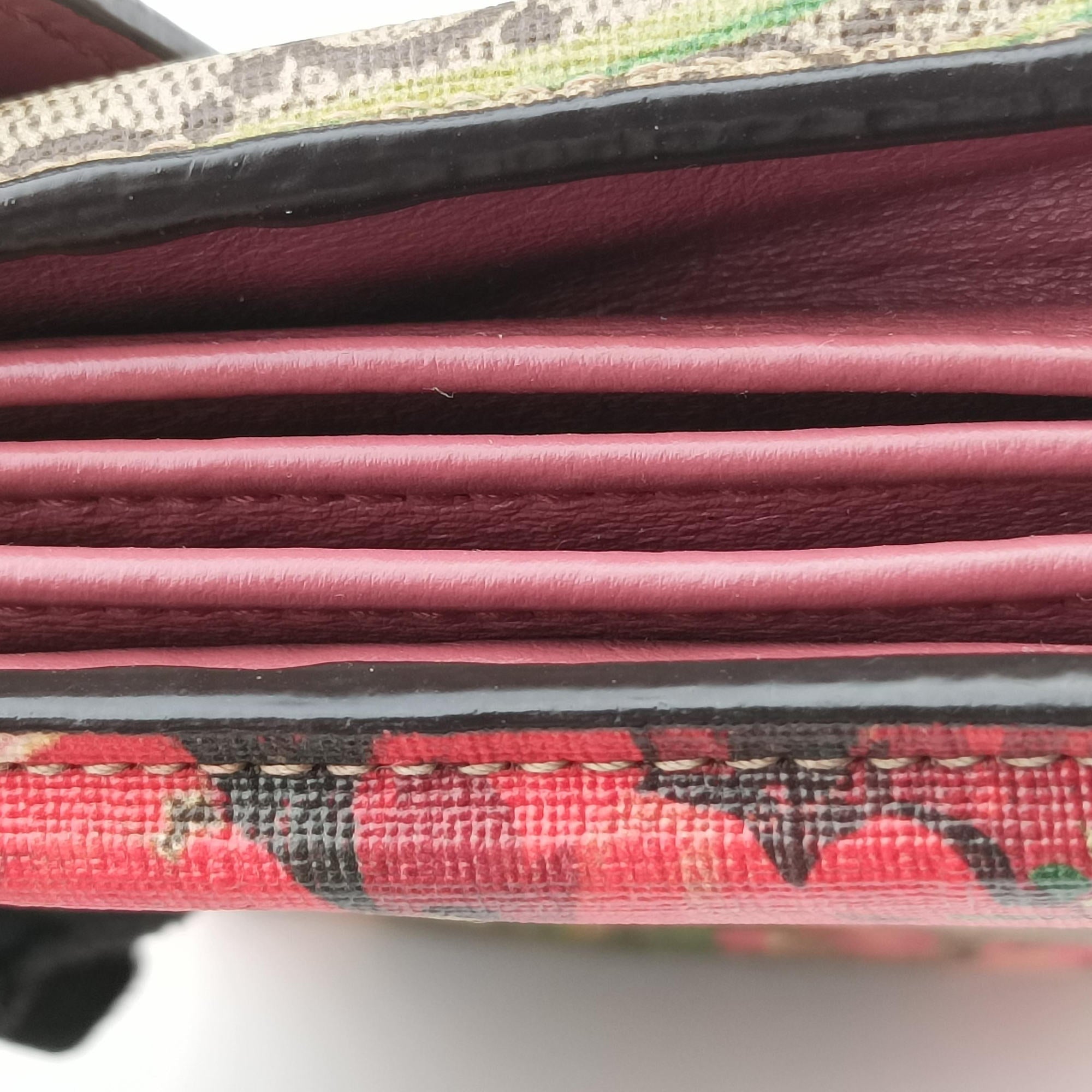 Dionysus Multicolour PVC coated canvas 401231 ディオニュソス マルチカラー PVCコーティングキャンバス 401231 