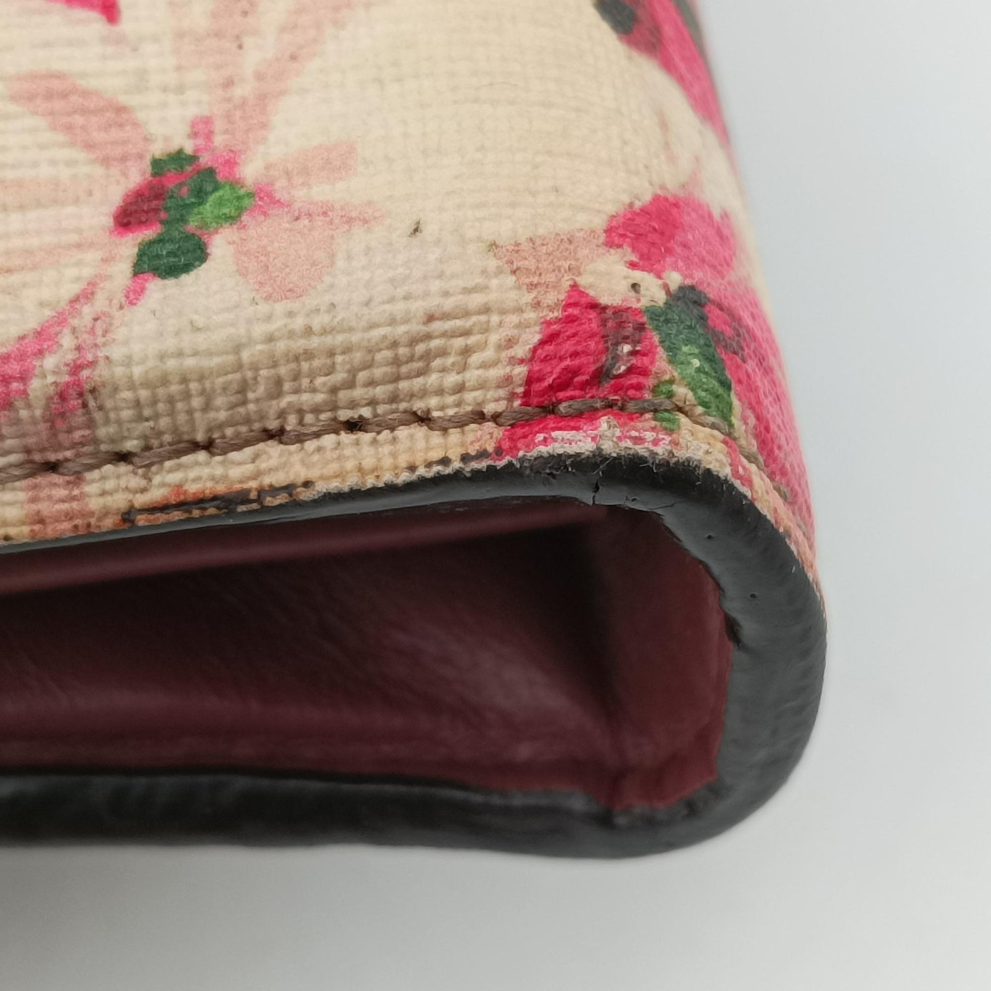 Dionysus Multicolour PVC coated canvas 401231 ディオニュソス マルチカラー PVCコーティングキャンバス 401231 