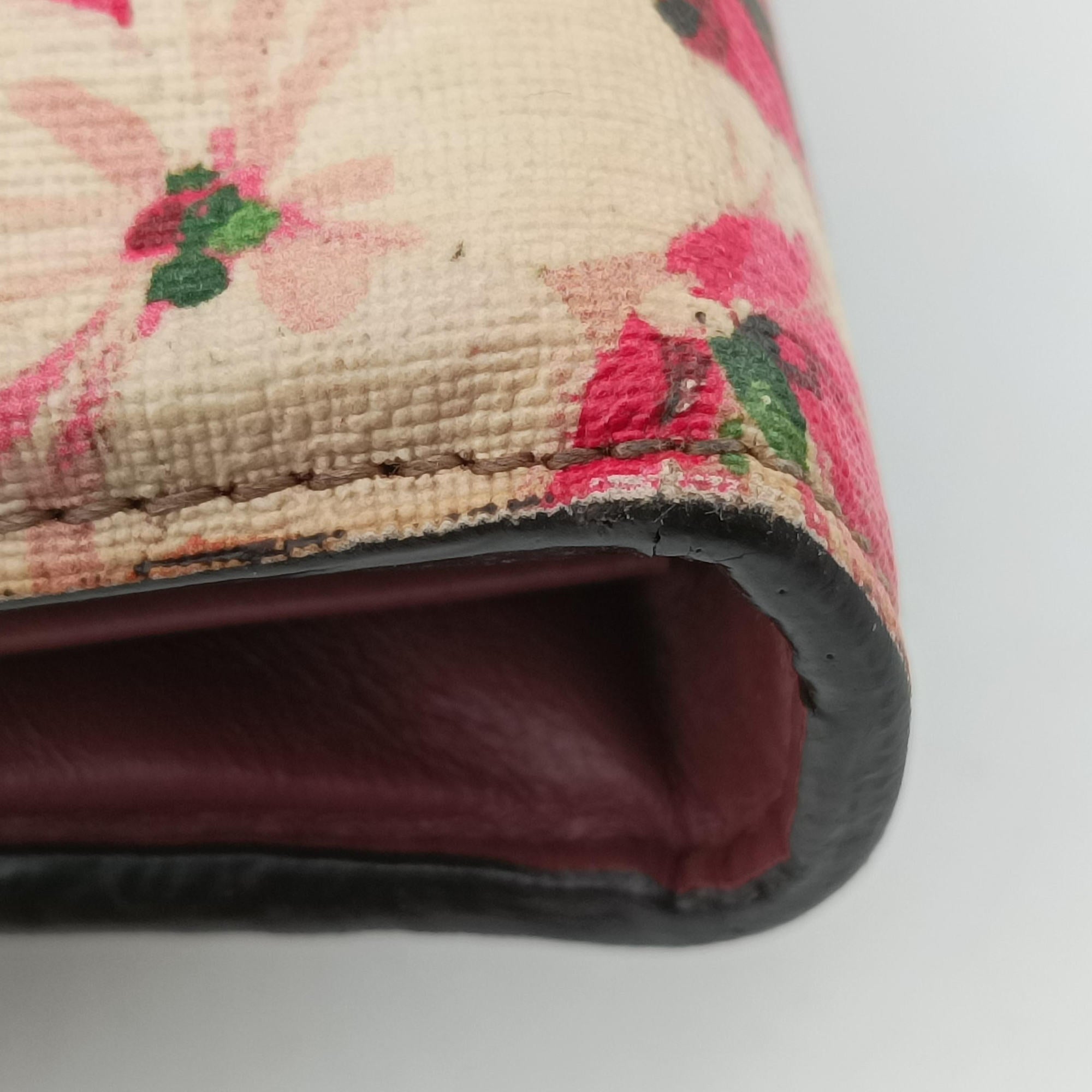Dionysus Multicolour PVC coated canvas 401231 ディオニュソス マルチカラー PVCコーティングキャンバス 401231 