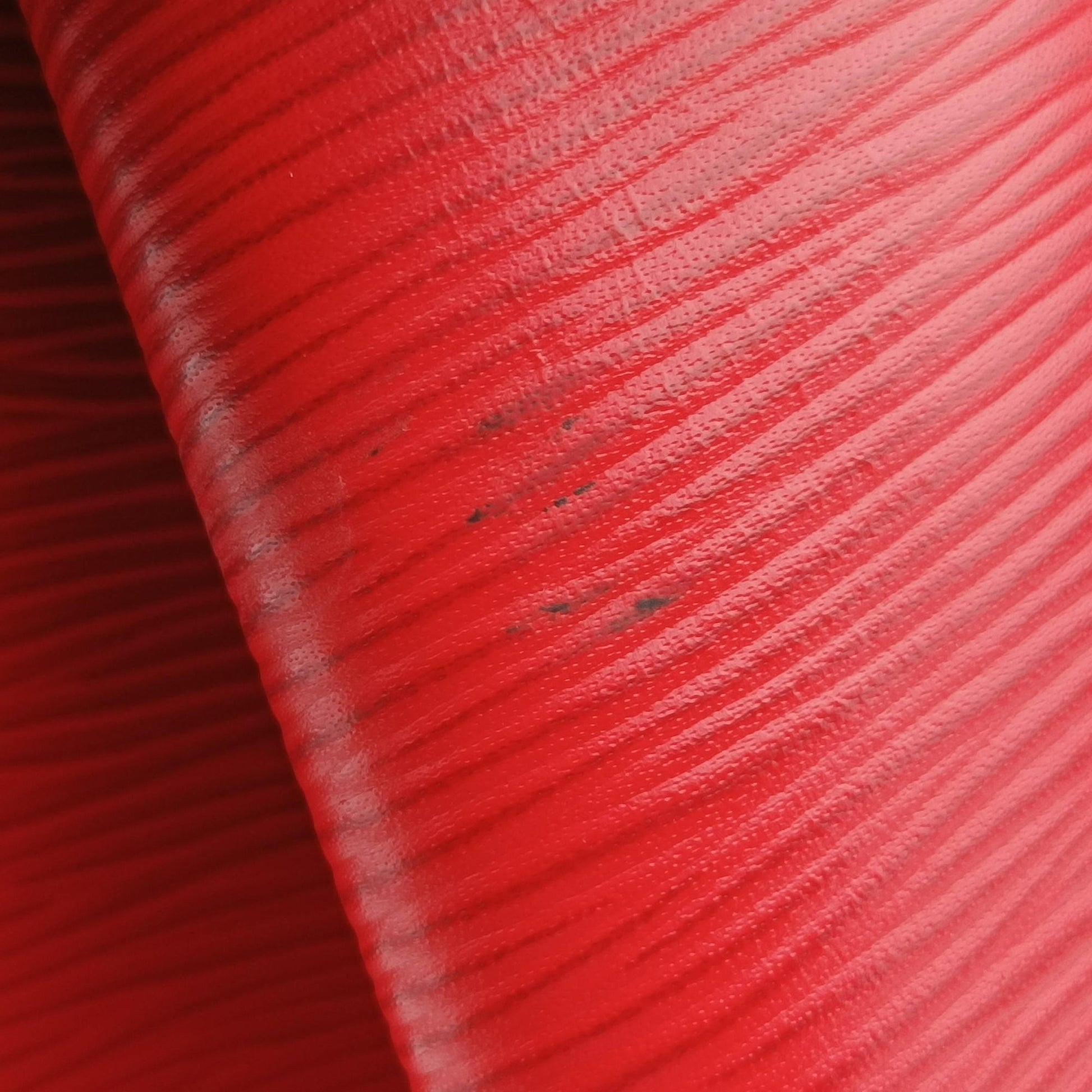 NeoNoe COQUELICOT Epi M54365 SR4118ネオノエ コクリコ エピ M54365 SR4118