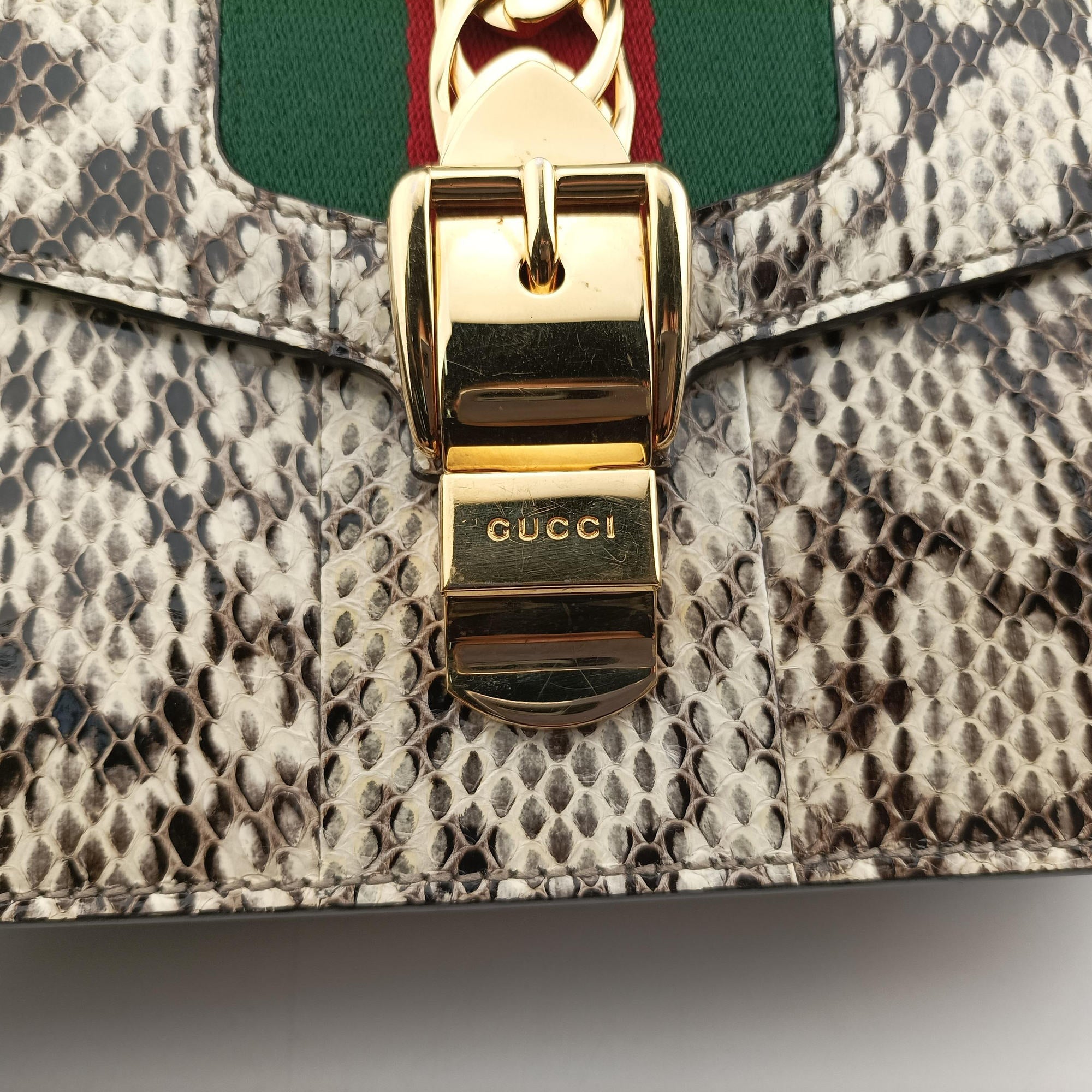 Sylvie Beige×Multi Snakeskin×Leather 421882 C019986908シルヴィ ベージュ×マルチ ヘビ革 421882 C019986908