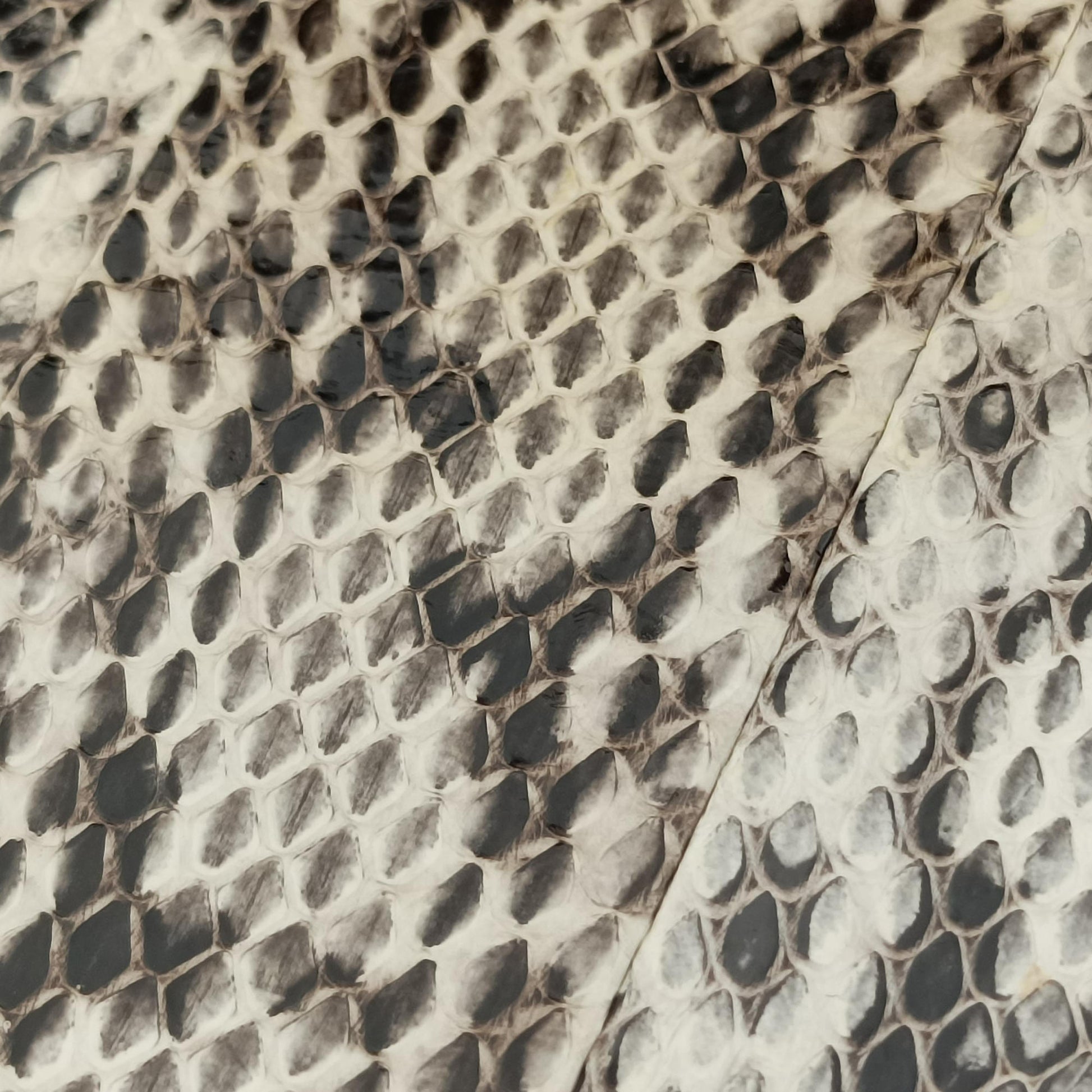Sylvie Beige×Multi Snakeskin×Leather 421882 C019986908シルヴィ ベージュ×マルチ ヘビ革 421882 C019986908