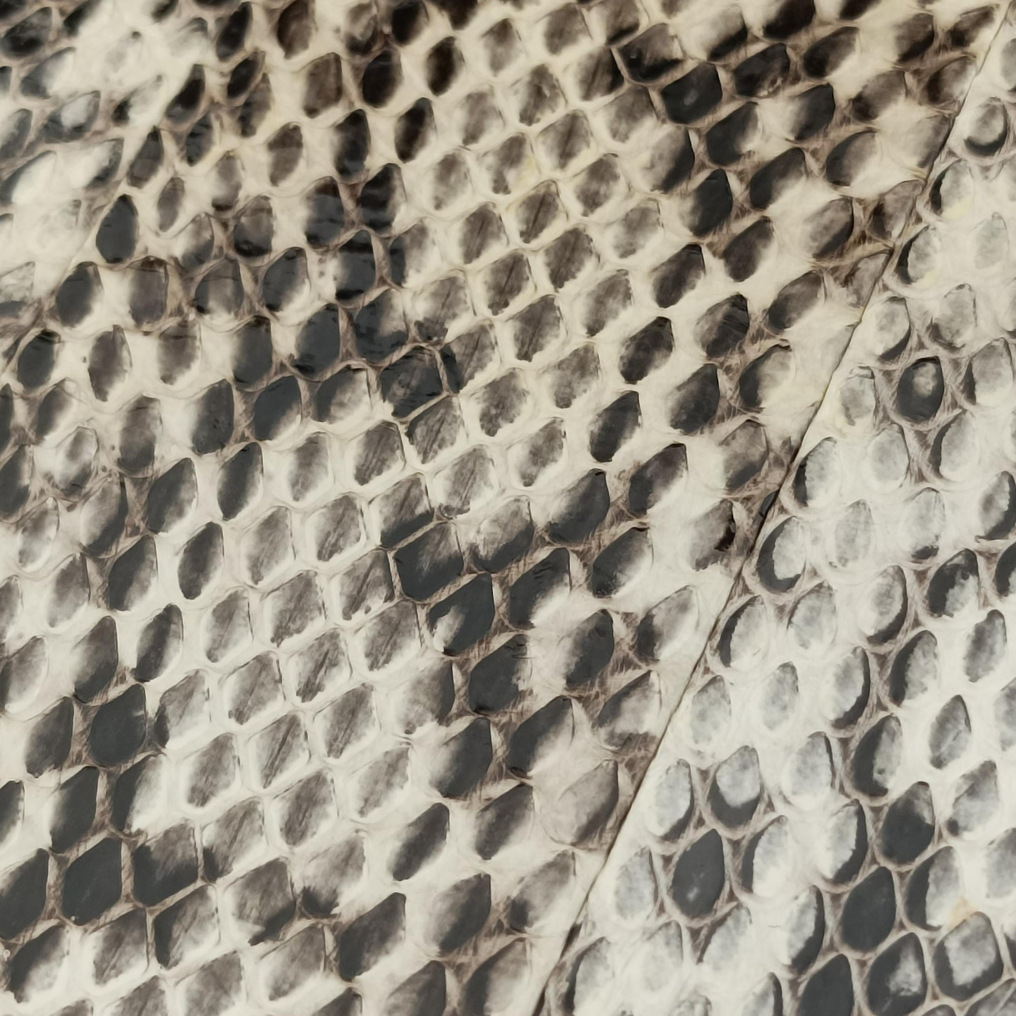 Sylvie Beige×Multi Snakeskin×Leather 421882 C019986908シルヴィ ベージュ×マルチ ヘビ革 421882 C019986908