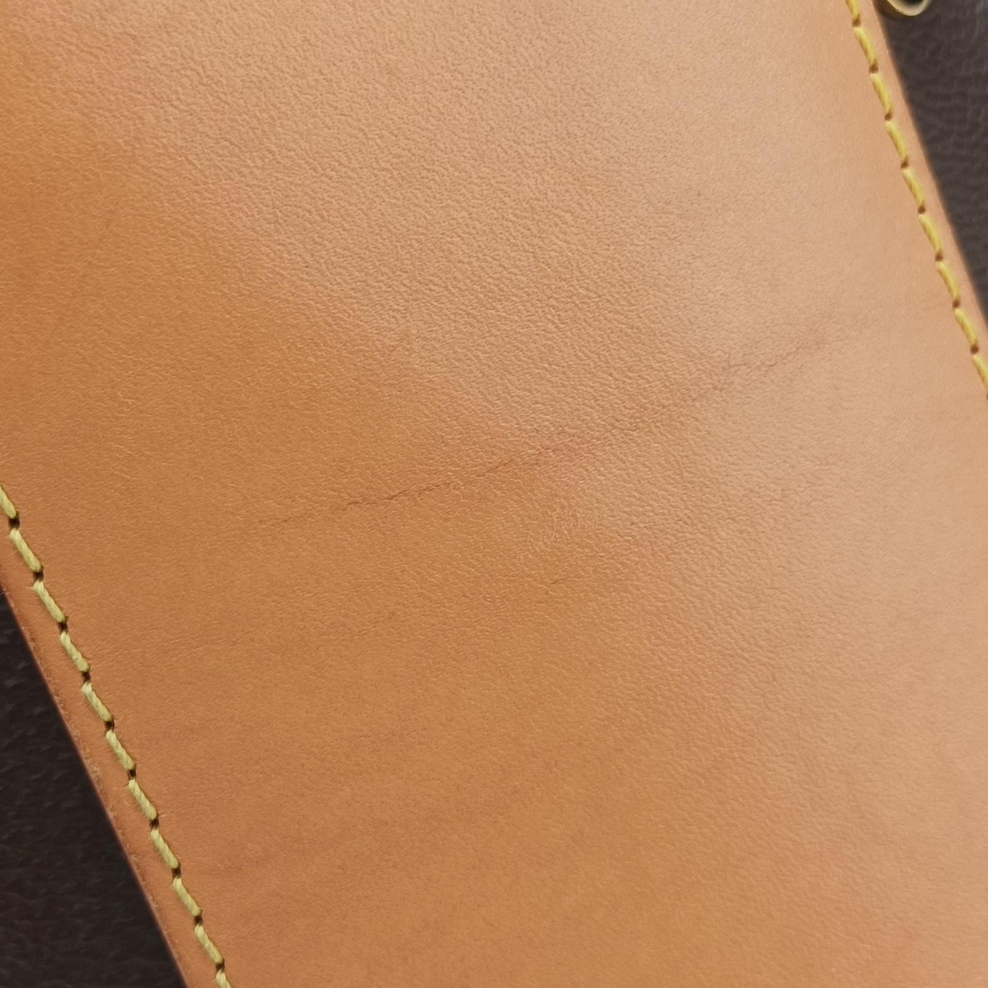 Cannes Brown Monogram Reverse Giant M44603 FL2139 IC Chipカンヌ モノグラム/ブラウン ジャイアント モノグラム リバース M44603 FL2139 ICチップ