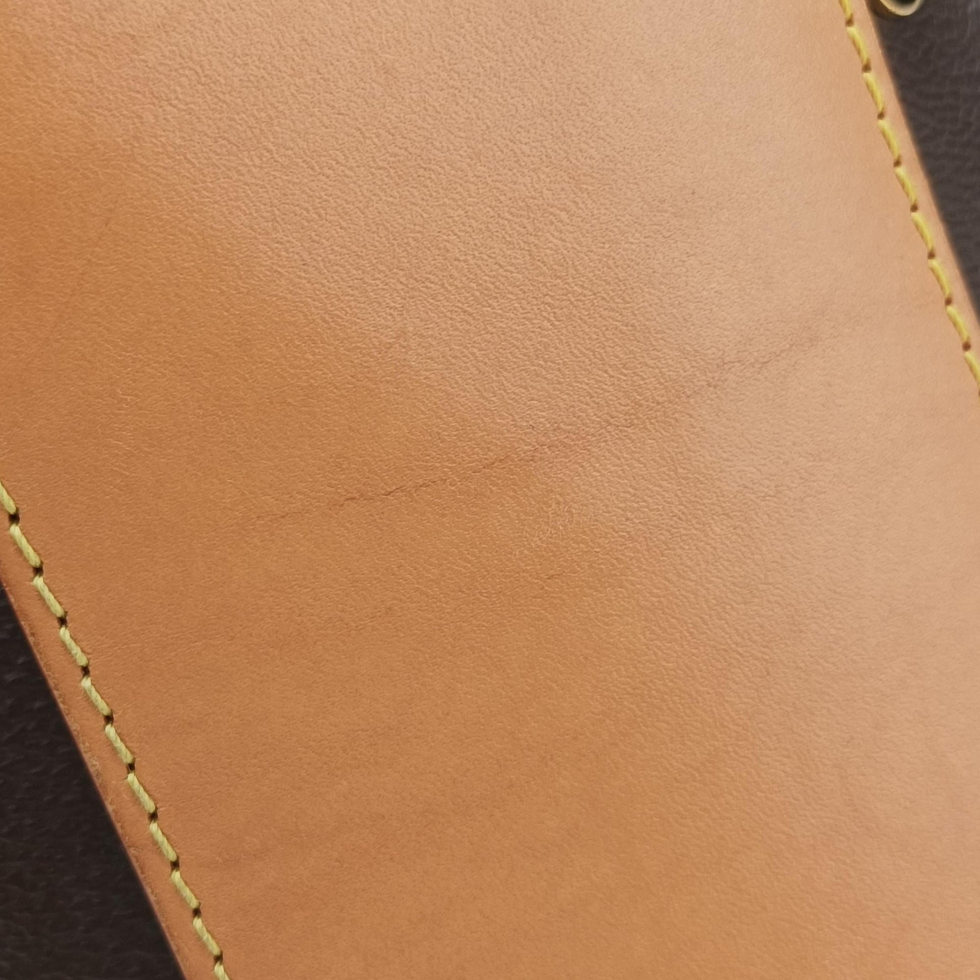 Cannes Brown Monogram Reverse Giant M44603 FL2139 IC Chipカンヌ モノグラム/ブラウン ジャイアント モノグラム リバース M44603 FL2139 ICチップ