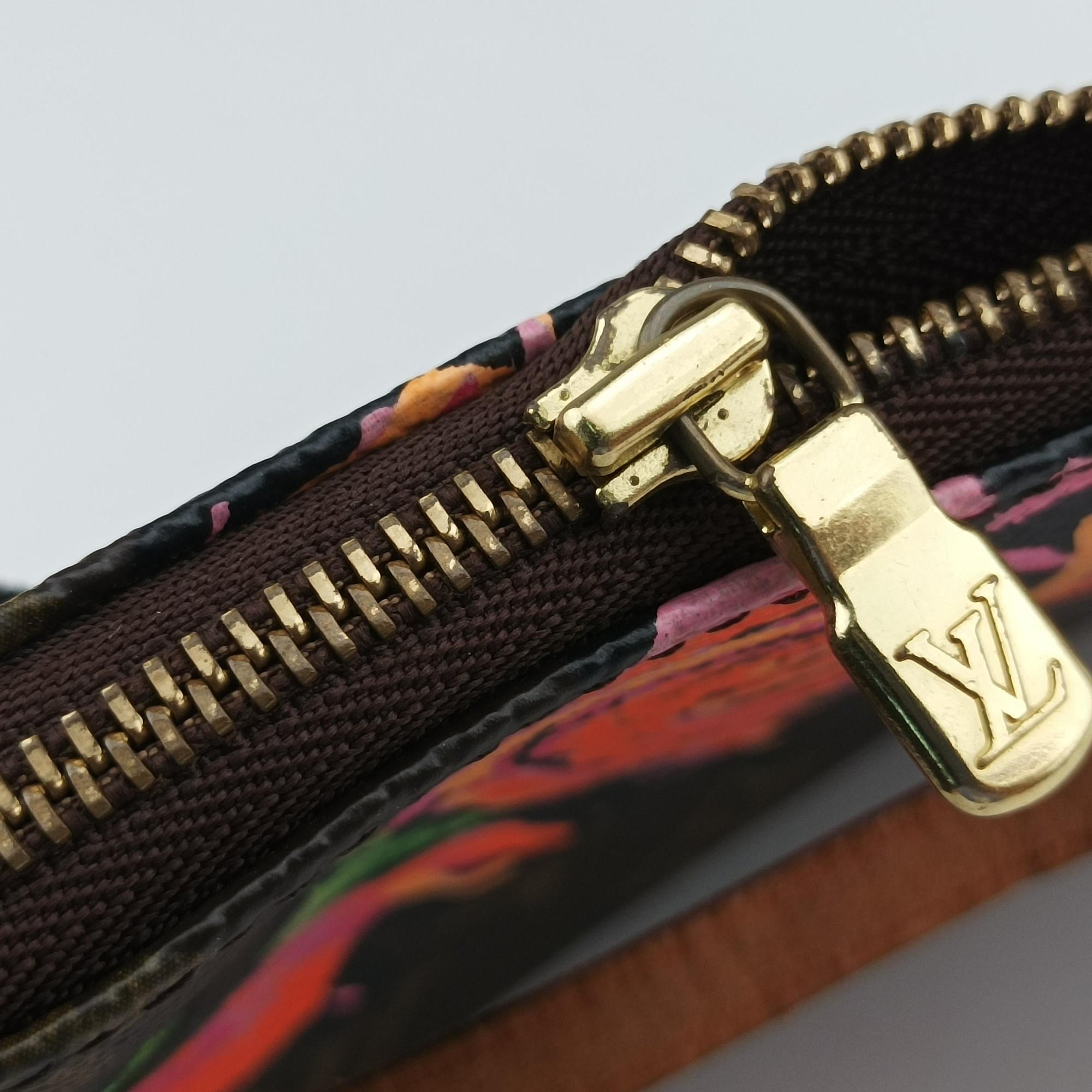 Secondhand Louis Vuitton Pochette Accessoires brown×multi Monogram Canvas M48615 handbag | stylenewstar
