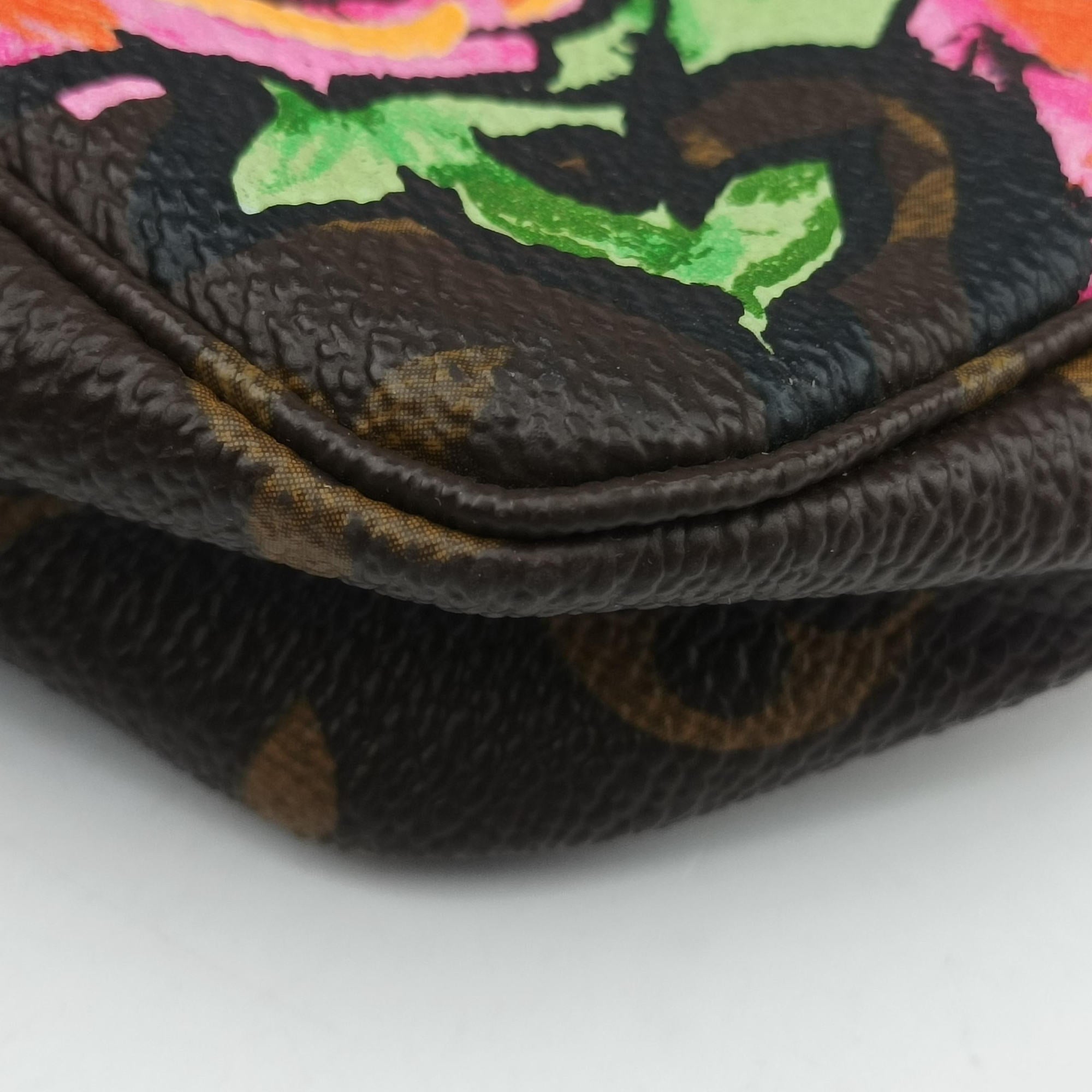 Secondhand Louis Vuitton Pochette Accessoires brown×multi Monogram Canvas M48615 handbag | stylenewstar
