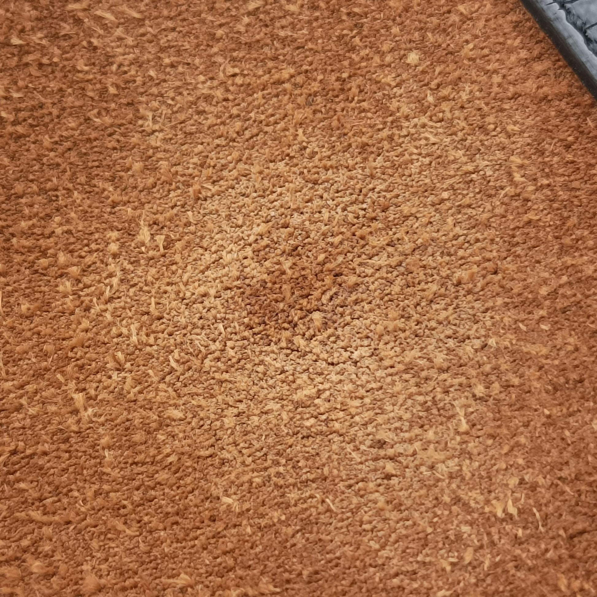 Ophidia Brown×black Suede×leather 503877 I023931553オフィディア ブラウン×ブラック スエード×レザー 503877 I023931553