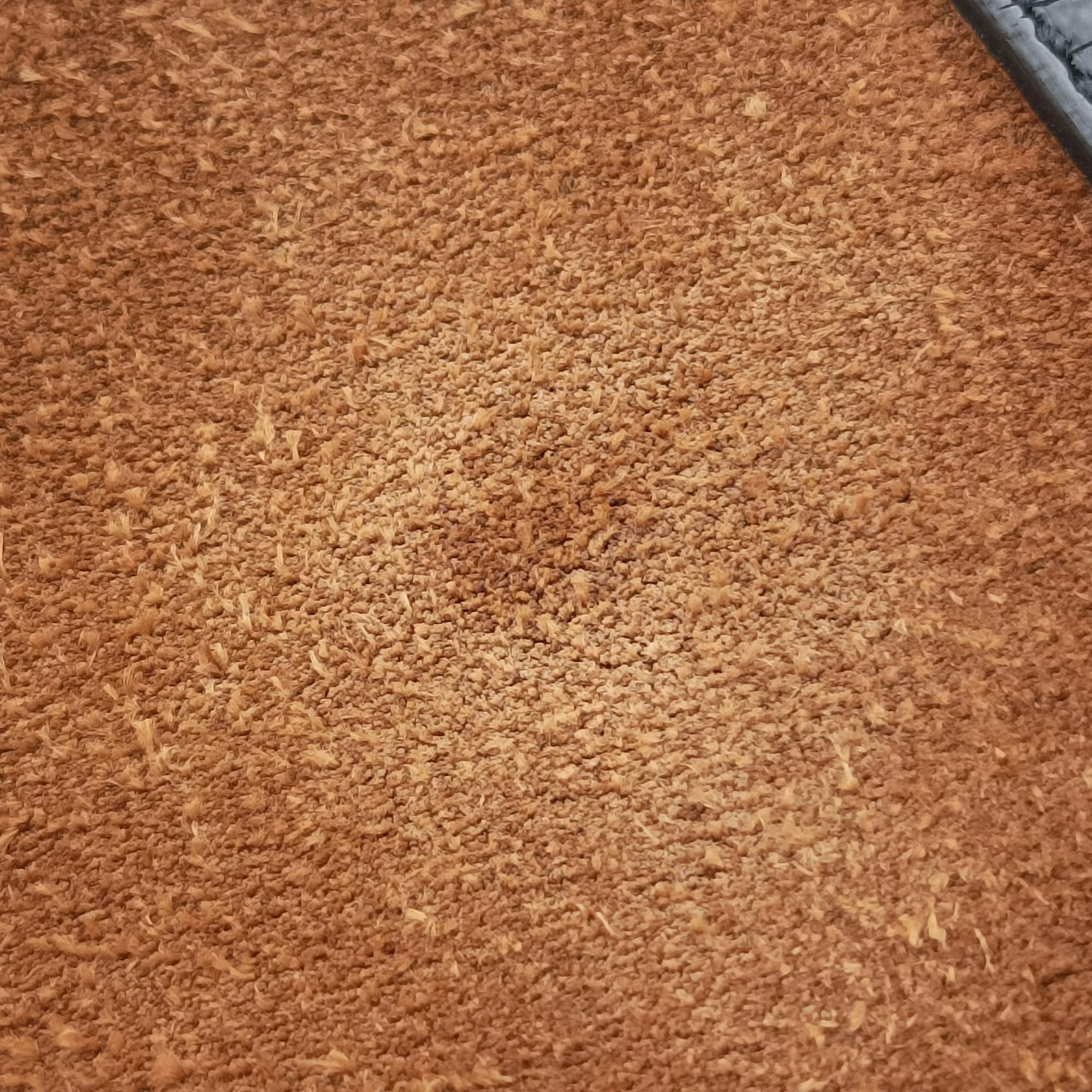 Ophidia Brown×black Suede×leather 503877 I023931553オフィディア ブラウン×ブラック スエード×レザー 503877 I023931553