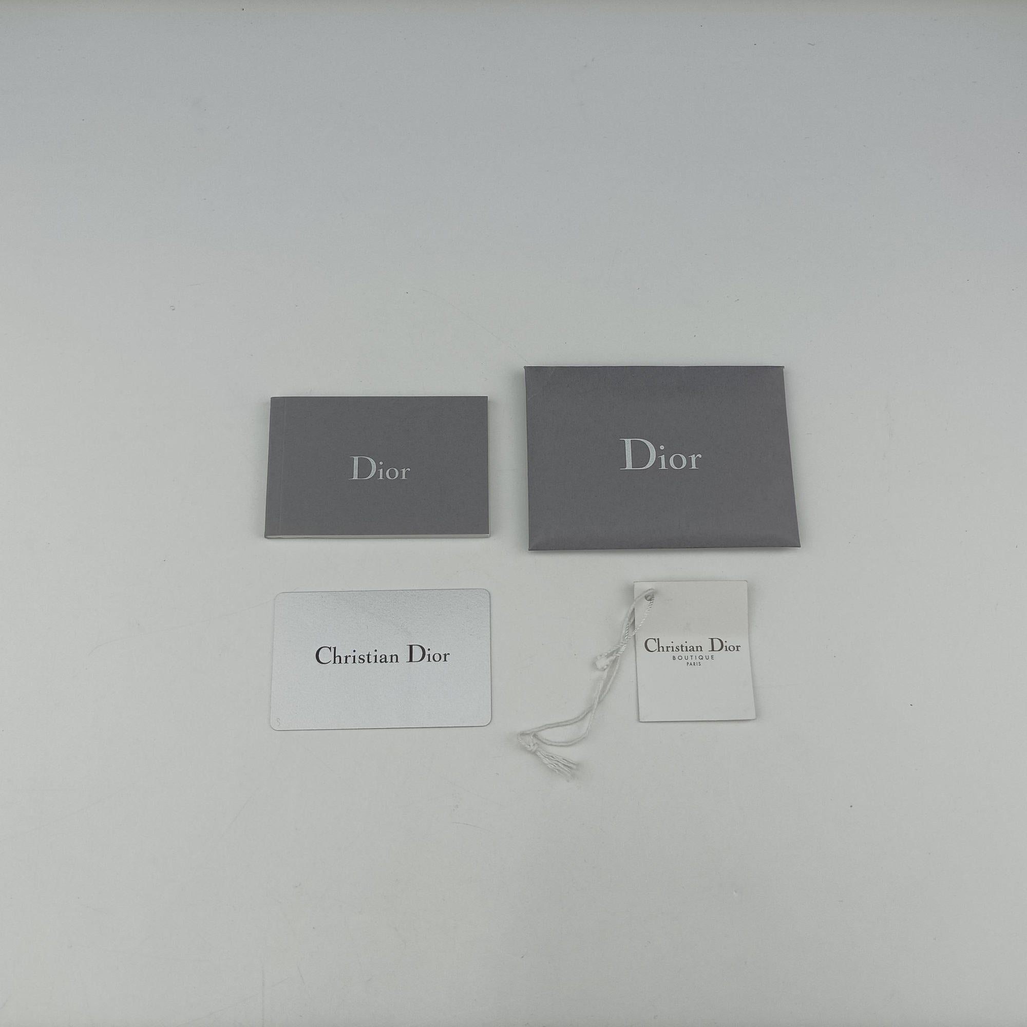 Dior double Medium Silver Leather 10-MA-0241ディオール ダブル ミディアム シルバー レザー 10-MA-0241
