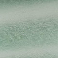 Dionysus Green velour 499623 H023956694デュオニソス グリーン ベロア 499623 H023956694