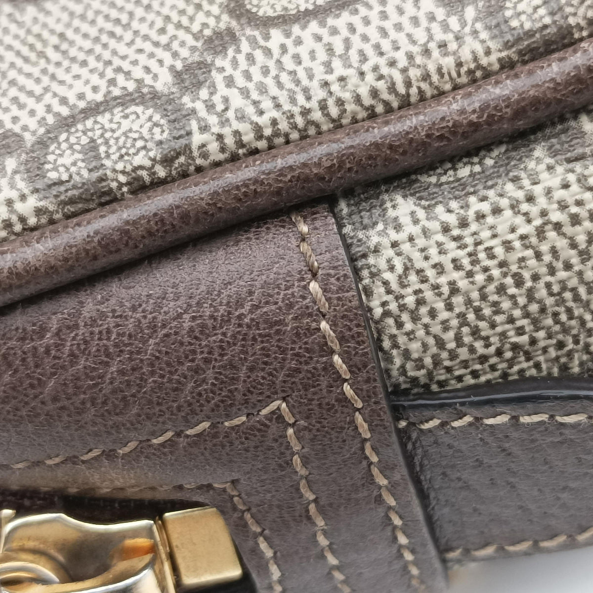 Ophidia Brown PVC coated canvas×Leather 517076 H024289654オフィディア ブラウン PVCコーティングキャンバス×レザー 517076 H024289654