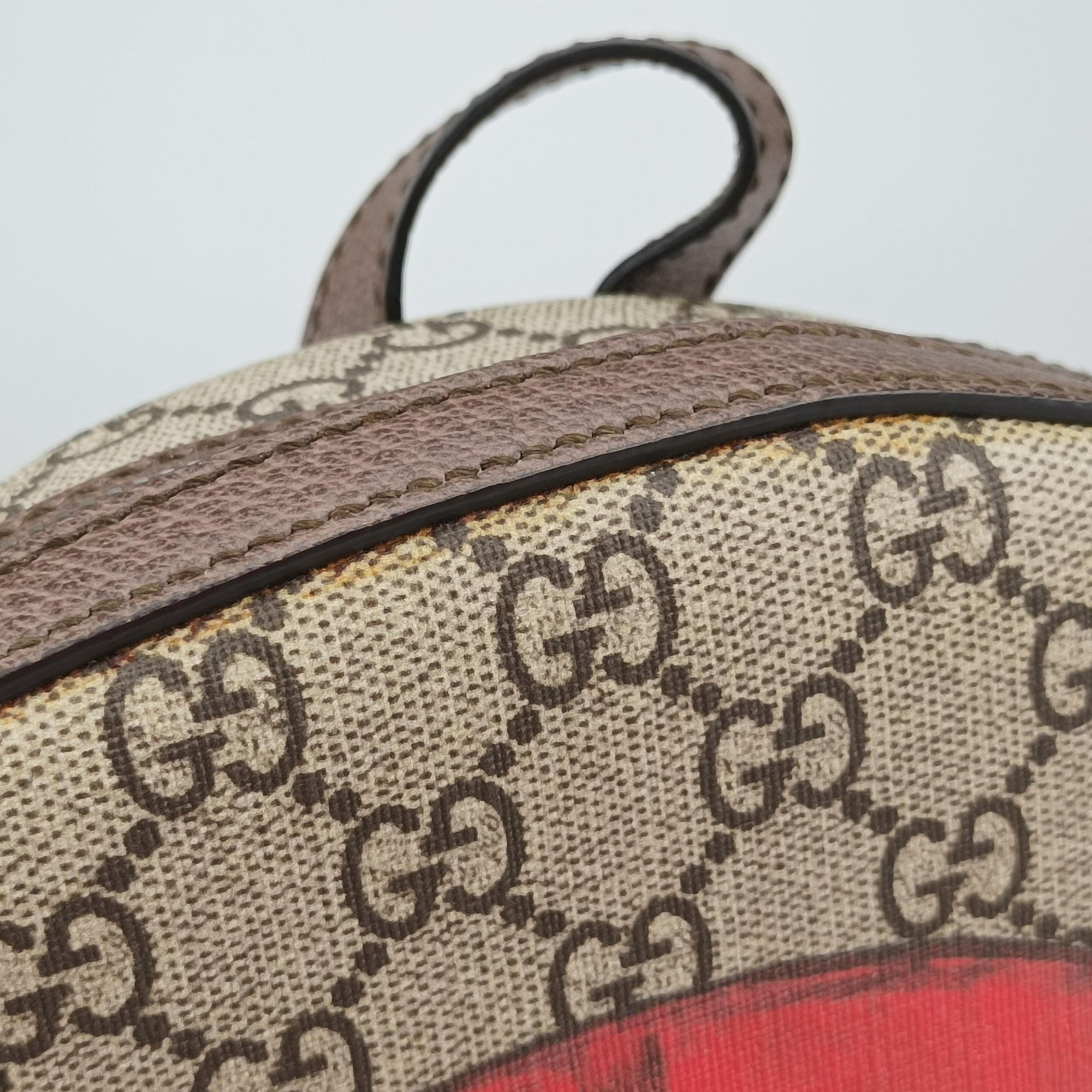 GG Supreme Bosco dog print Beige×Multicolour PVC coated canvas 495621 I023614480GGスプリームボスコ 犬プリント ベージュ×マルチカラー PVCコーティングキャンバス 495621 I023614480