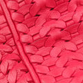 Pre-owned Christian Dior Soft Lady Dior Red lambskin  handbag | stylenewstar
