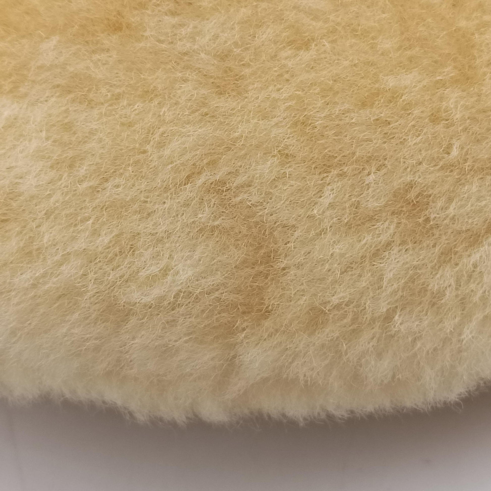 The Jodie Yellow Pile B09773867Mザ ジョディ イエロー パイル B09773867M