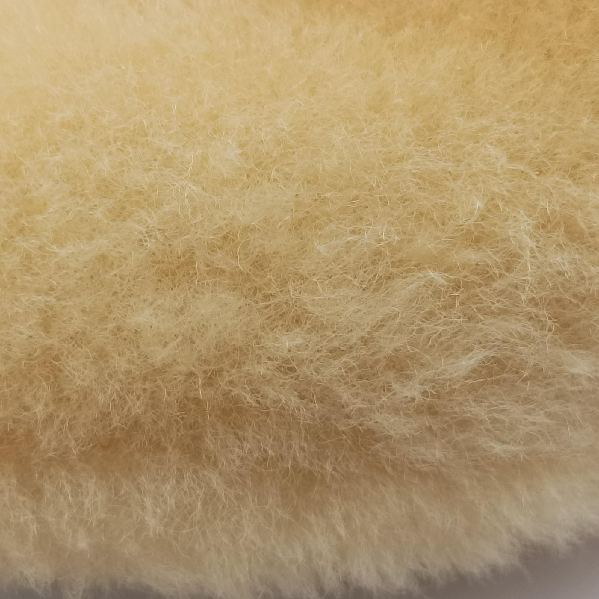 The Jodie Yellow Pile B09773867Mザ ジョディ イエロー パイル B09773867M