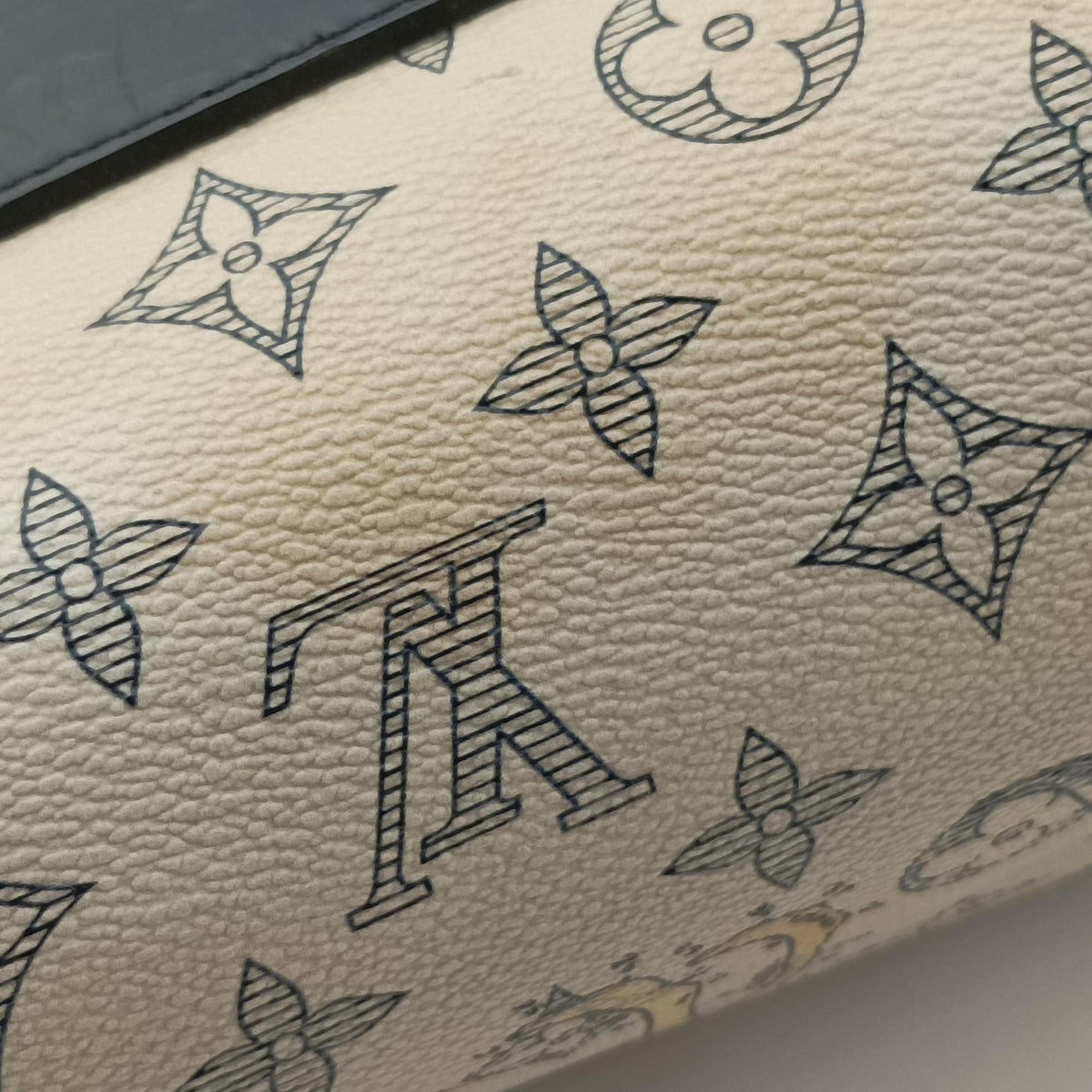 Savane Tote DUNE Monogram Chapman N41416 RI4186サバンナ  トート デューン モノグラム チャップマン N41416 RI4186