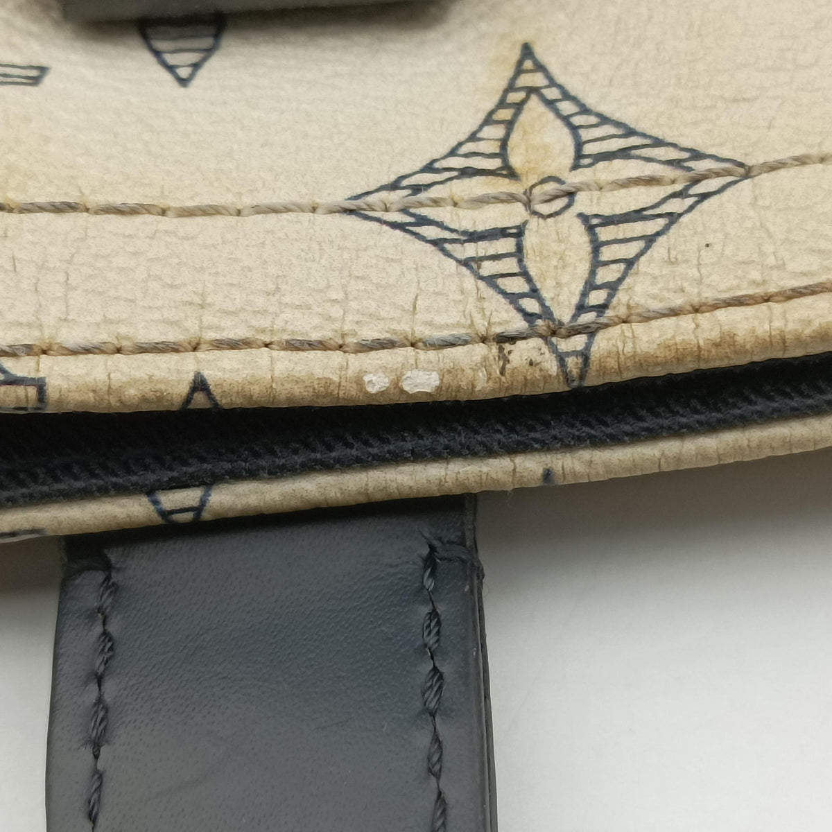 Savane Tote DUNE Monogram Chapman N41416 RI4186サバンナ  トート デューン モノグラム チャップマン N41416 RI4186