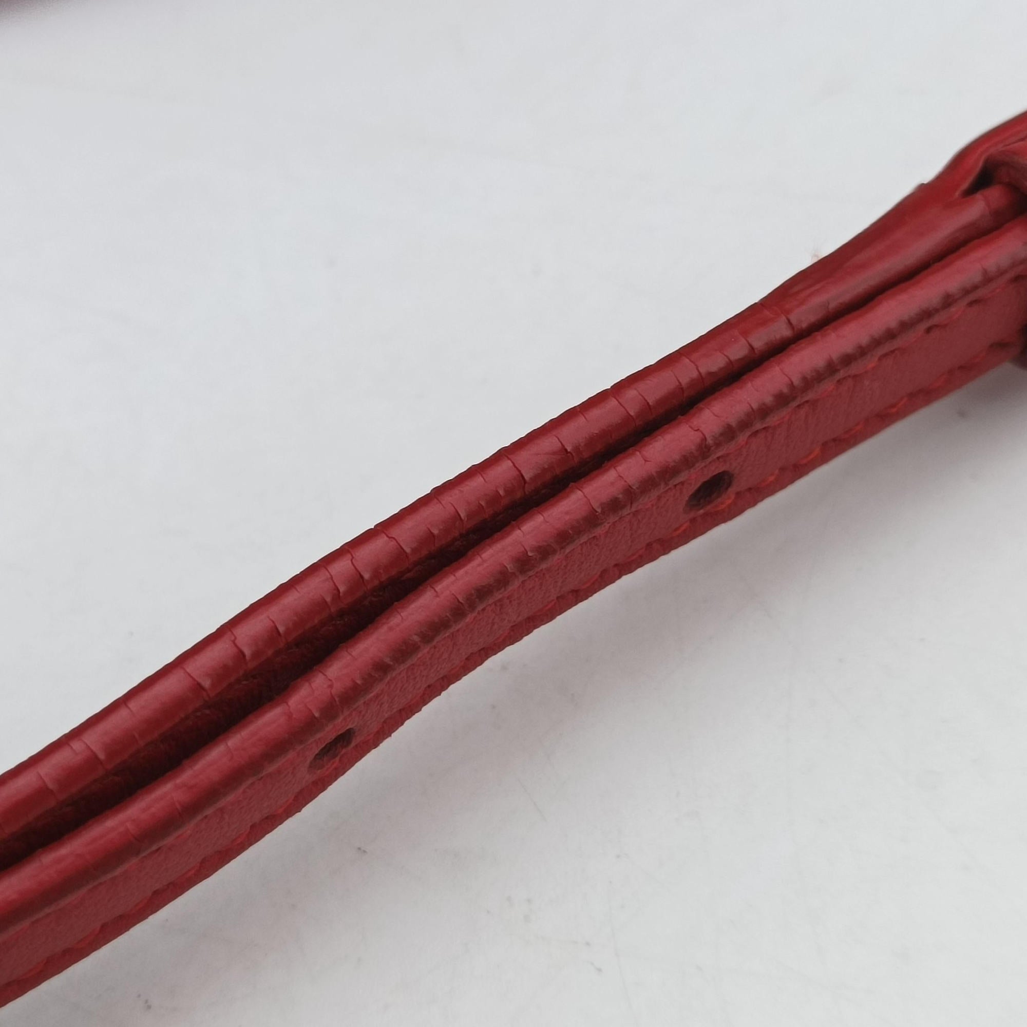 LOU camera Red Leather 395793 GNR395793.0415ルー カメラ レッド レザー 395793 GNR395793.0415