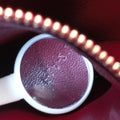 CLASSIC Burgundy Leather F-LA-2127クラシック スモール ワインレッド レザー F-LA-2127