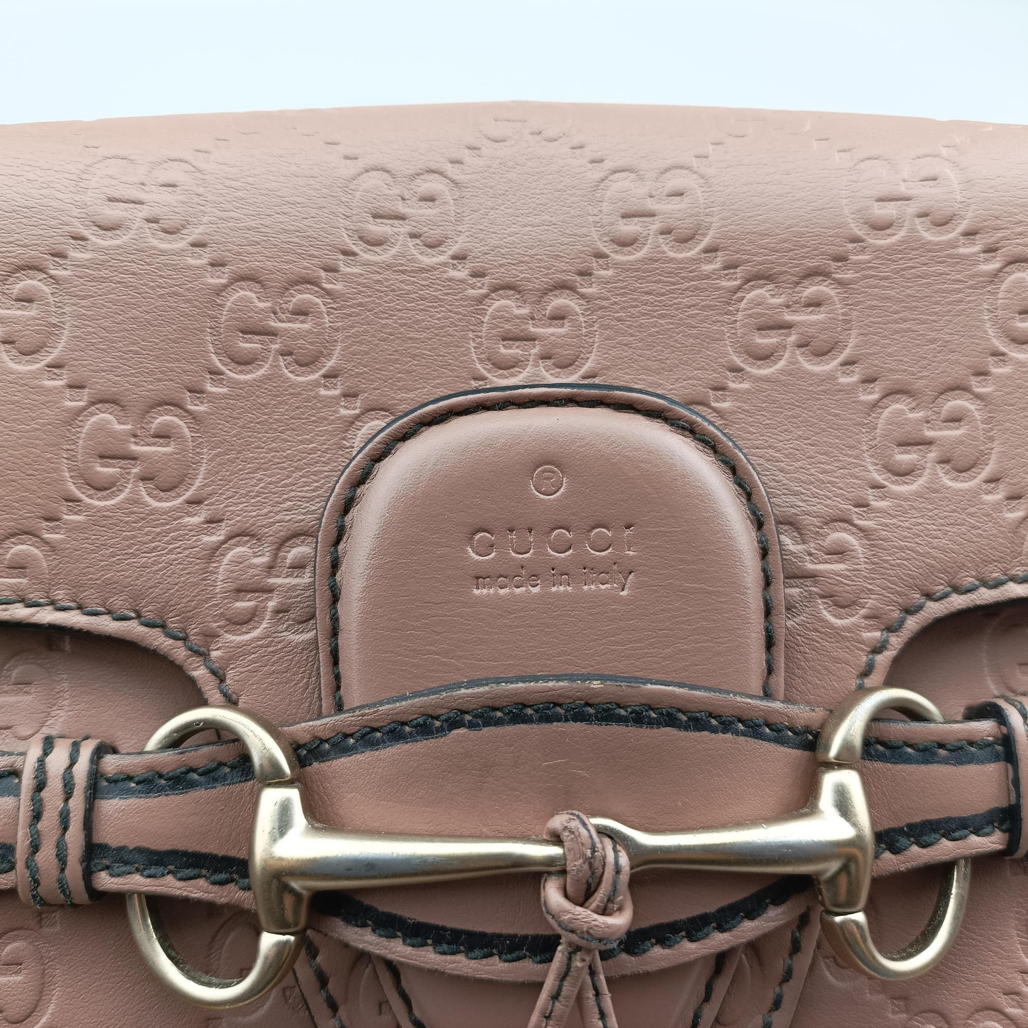 Emily Beige Leather 295402 Lot number unknownエミリー ベージュ レザー 295402 製番不明