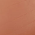 Emily Camel Leather 283063 F011110377エミリー キャメル レザー 283063 F011110377