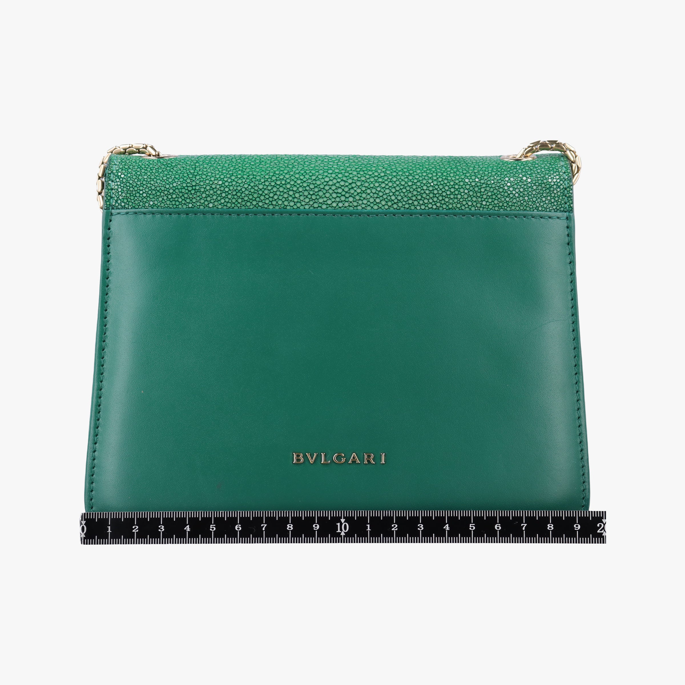 Serpenti Green Galuchat Skin×Leather EK.L17.37035セルペンティ グリーン ガルーシャスキン×レザー EK.L17.37035
