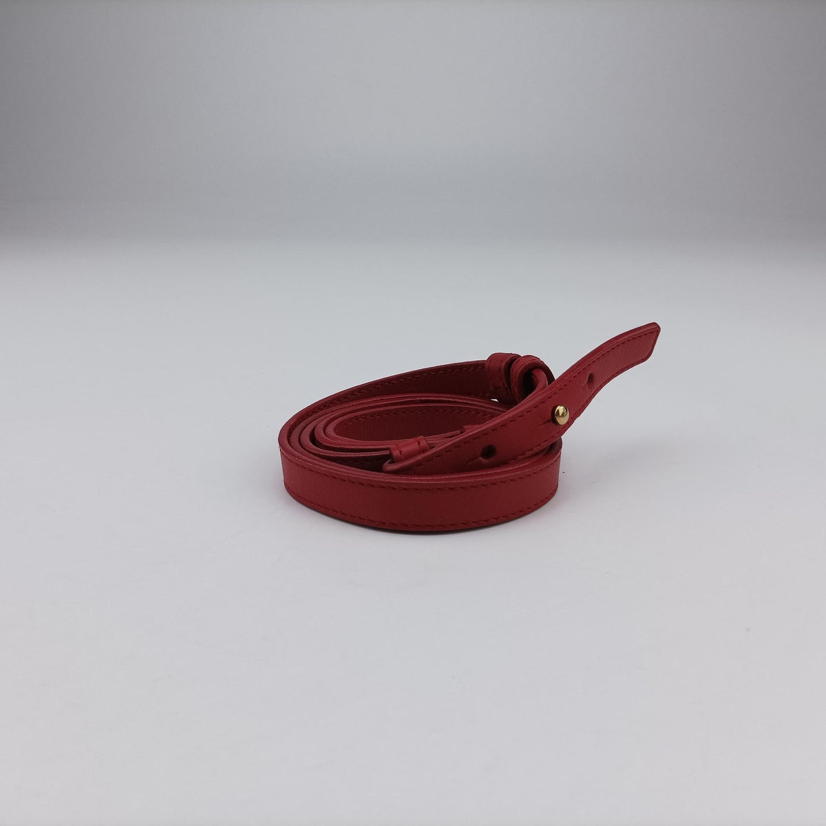 Y Ligne Petit Cabas Red Leather 311210 311210.001998Yライン プチカバス レッド レザー 311210 311210.001998