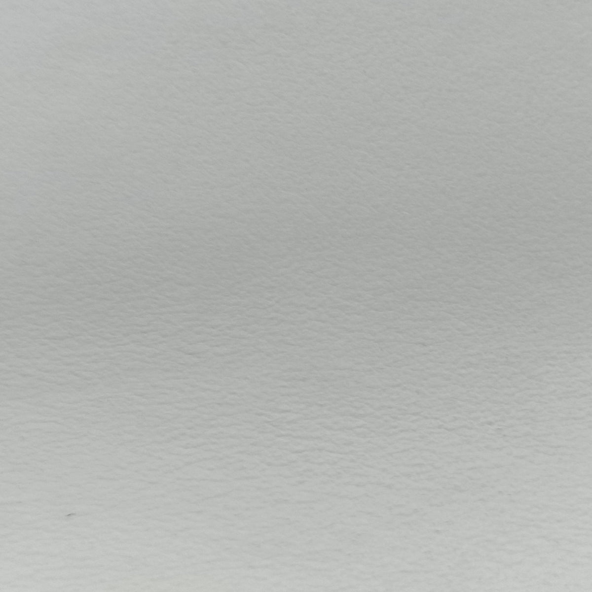 Sybille White Leather 31/Aシビル ホワイト レザー 31/A