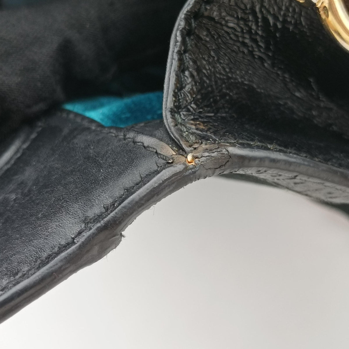 Ophidia Black Suede×leather 503877 A026520785オフィディア ブラック スエード×レザー 503877 A026520785