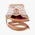 Vivienne Nano Noe AZUR Damier Canvas N40511 IC Chipヴィヴィエンヌ ナノ ノエ アズール PVCコーティングキャンバス N40511 ICチップ