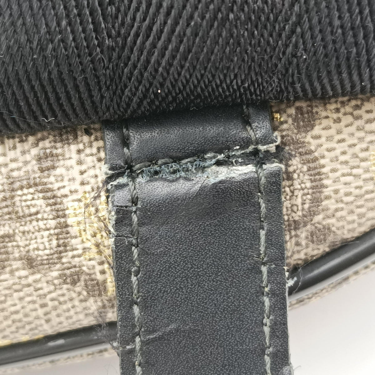 GG Supreme Tian Brown PVC coated canvas 427042 G024988184GGスプリームティアン ブラウン PVCコーティングキャンバス 427042 G024988184