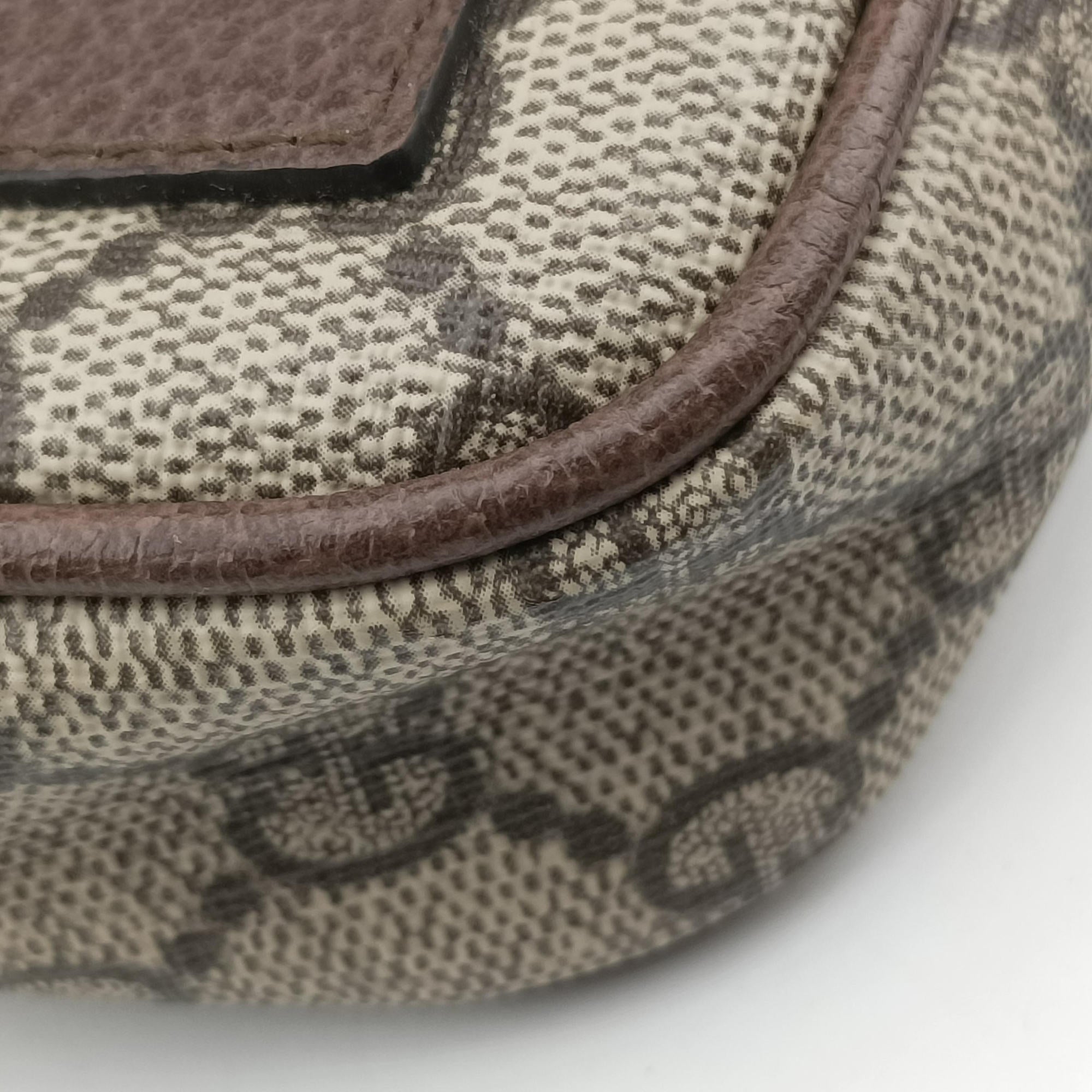 Pre-owned Gucci Ophidia Brown×red×green PVC coated canvas×Leather 598912 shoulderbag | stylenewstar