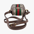 Pre-owned Gucci Ophidia Brown×red×green PVC coated canvas×Leather 598912 shoulderbag | stylenewstar