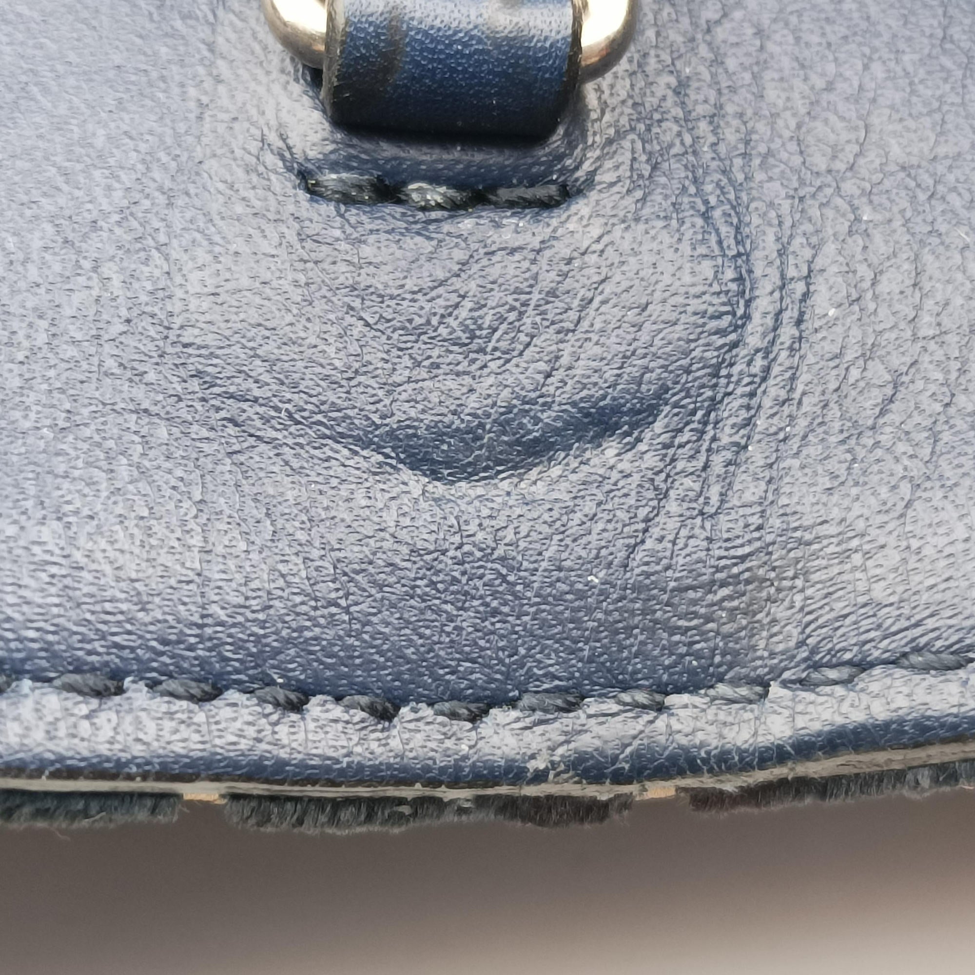 Dionysus Blue velour 401231 ディオニュソス ブルー ベロア 401231 