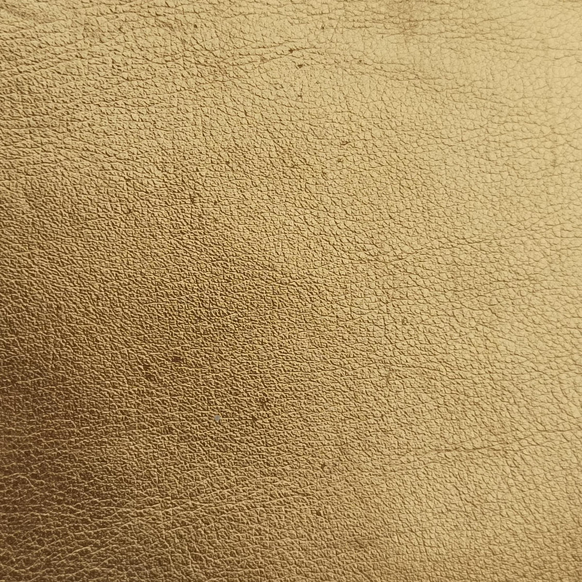 F is Golden Leather 8BS006 8BS006 A0Y1 188-8241エフ イズ ゴールド レザー 8BS006 8BS006 A0Y1 188-8241