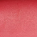 Emily Red Leather 449635 I022760557エミリー レッド レザー 449635 I022760557