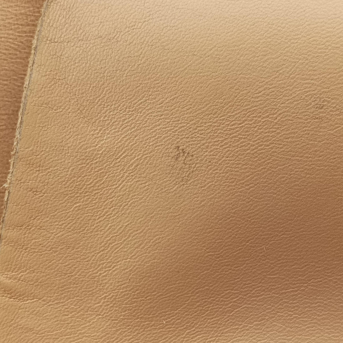 THE ARCO Tote Camel lambskin B09312938Rミディアム ザ アルコ トート キャメル ラムスキン B09312938R