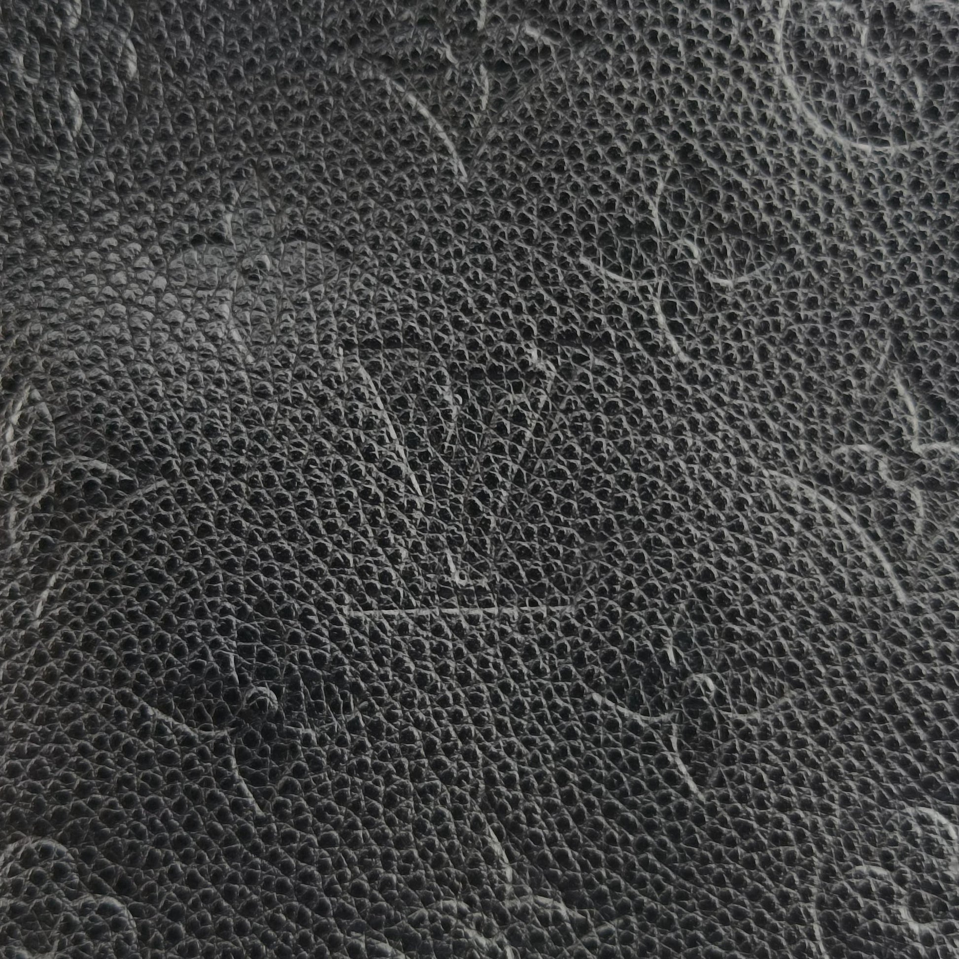 NeoNoe Noir Monogram Empreinte M45256 IC Chipネオノエ ノワール モノグラム アンプラント M45256 ICチップ